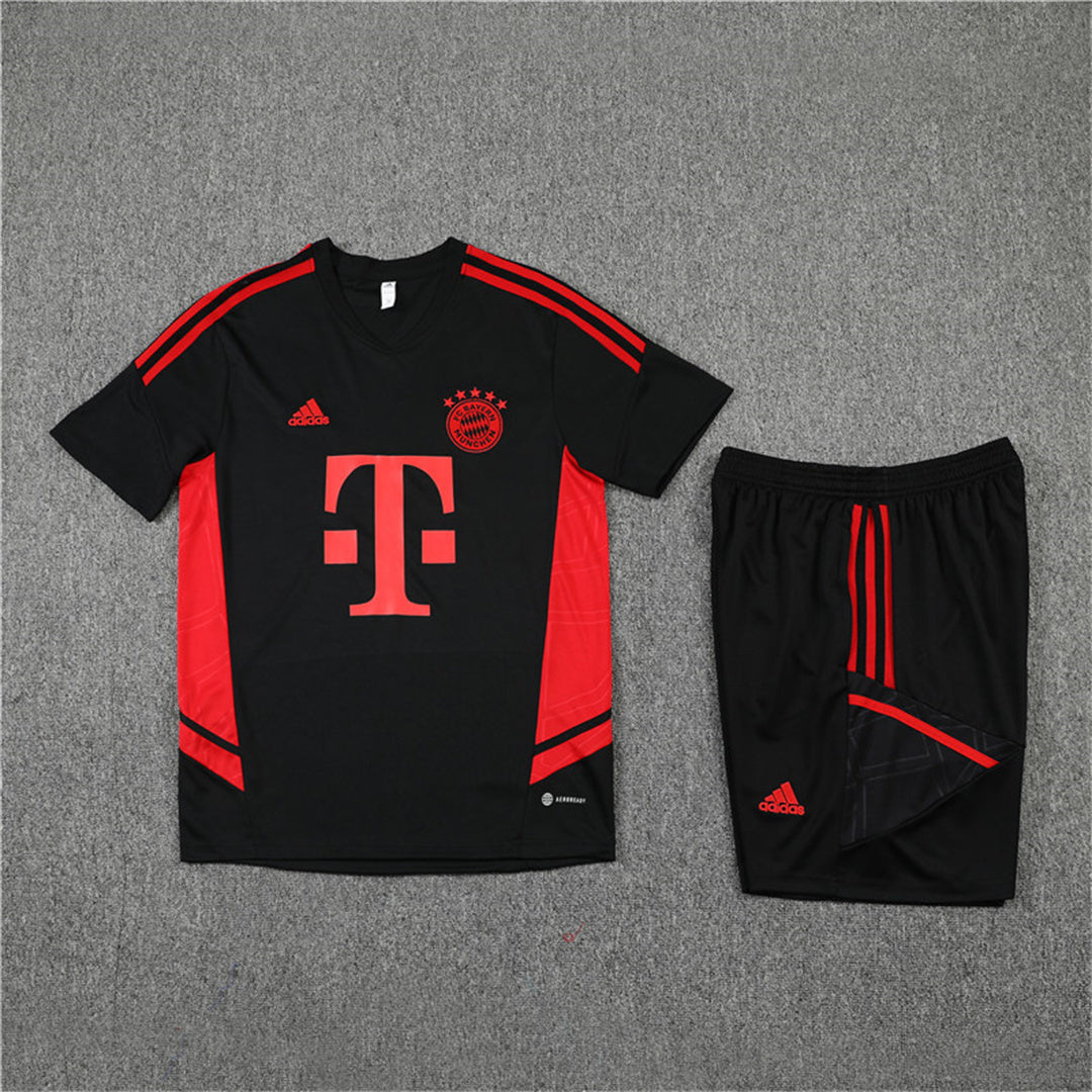 Ensemble Bayern Munich