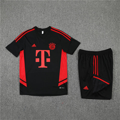 Ensemble Bayern Munich