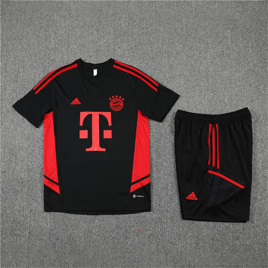 Ensemble Bayern Munich